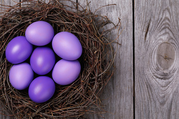 Chicken eggs painted in purple in the nest with space for text, top view