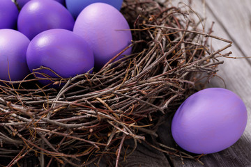 Chicken eggs colored in violet in the nest, closeup