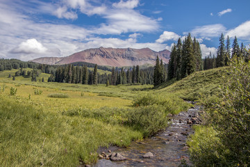 Colorado Rocky Mountain meadow and creek in summertime
