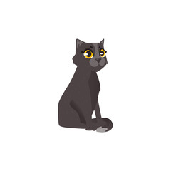 Sitting cute fluffy black cat, flat cartoon vector illustration isolated on white background. Black cat character, mascot, pet sitting with tail around its paws