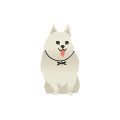 Cute fluffy little dog sitting straight with tongue out, front view portrait, flat cartoon vector illustration isolated on white background. White fluffy dog, puppy character sitting