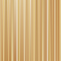Fototapeta premium Abstract blurred background with vertical lines.