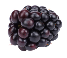 blackberries isolated on white background. macro