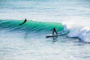 Surfer ride on stand up paddle board on ocean blue wave.