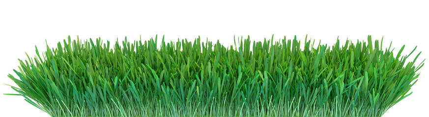 Obraz na płótnie Canvas Green grass. Natural grass texture background. Meadow. Spring, summer season. Plant growth 3d rendering