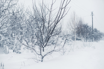 Obraz na płótnie Canvas Winter snowfall in the village. Snowy collapse