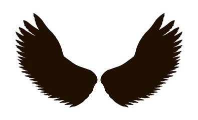 Outstretched wings. Vector drawing