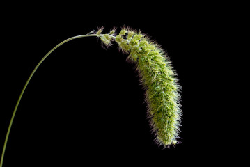 500px Photo ID: 76249227