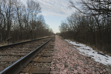 Fototapeta na wymiar Train tracks in a dead forest during late winter