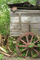 old cart with wooden wheels in the green leaves