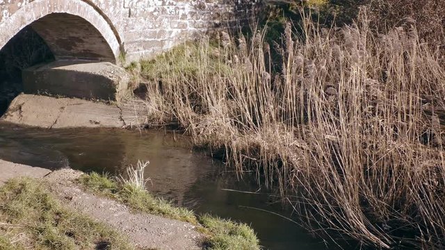 Ancient roman sandstone bridge, bulrush, reed and stream. Baker Path, Tarvin, Cheshire, England. Camera pans