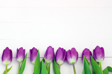 Lilac tulips on a white wooden background (space for text)