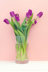 Lilac tulips in a vase on a pink background
