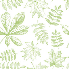  Vector seamless pattern with hand drawn leaves.