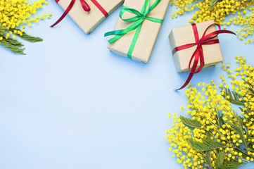 Spring yellow flower mimosa and and a festive gift on blue background. Natural spring background with copy space. Festive background. Top view Flat Lay