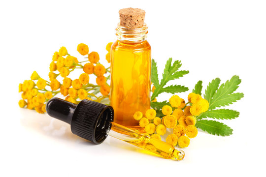 essential tansy oil with flowers and leaf isolated on white background