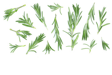 Fresh green rosemary isolated on a white background with copy space for your text. Top view. Flat lay
