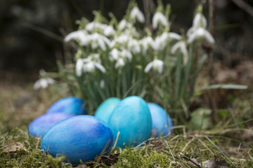Ostereier im Garten