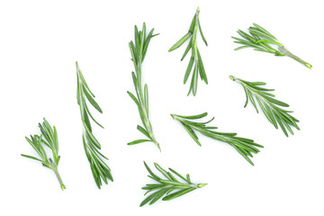 Obraz premium Świeży zielony rozmaryn na białym tle. Widok z góry. Leżał na płasko