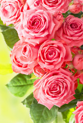 pink rose flower bouquet background