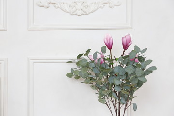 blossom  pink flowers of rhe magnolia and eucalyptus leaves near the white wall in rhe sping decorated room. hello March April  May
