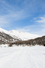 Fototapeta na wymiar St. Moritz, Silvaplana, Piz Nair, Alpen, Corviglia, Winter, Wintersport, Langlauf, Oberengadin, Graubünden, Schweiz
