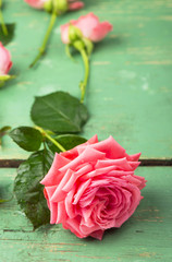 Romantic floral frame background