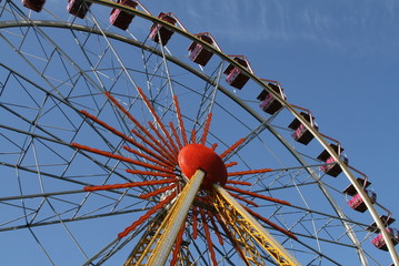 carousel ferris wheel in the amusement park 
