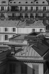 black and white roof of the paris france