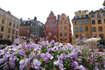 Fototapeta na wymiar beautiful square of stockholm with flowers sweden