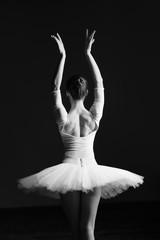 Fototapety  Młoda piękna baletnica pozuje w studio