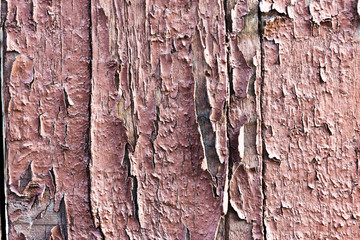 old peeling flaking paint on an old wooden wall