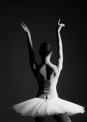Fototapeta premium Young beautiful ballerina is posing in studio