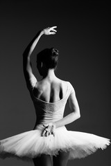 Fototapeta premium Young beautiful ballerina is posing in studio