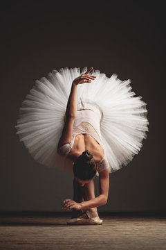 Fototapeta Young beautiful ballerina is posing in studio