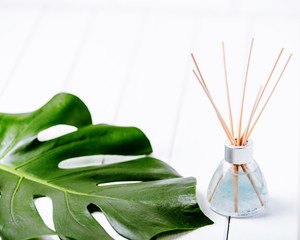 Air refresher bottle and leaf of a monstera with white background. Copyspace for your text