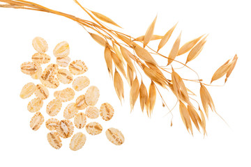 oat spike with oat flakes isolated on white background. Top view