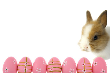 The Easter rabbit as a symbol together with painted Easter eggs is one of the main symbols of this holiday.

