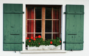Fototapeta na wymiar window with the red flowers, 