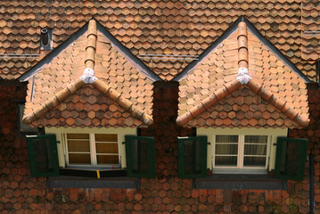 two windows on the roof 