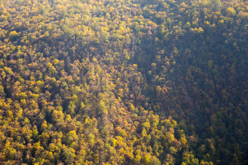 Obraz premium Aliabad Katoul Forest, Golestan, Iran