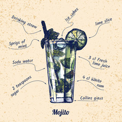 Cocktail-Mojito und seine Zutaten