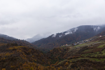 Obraz premium Sangchal in Autumn, Mazandaran, Iran