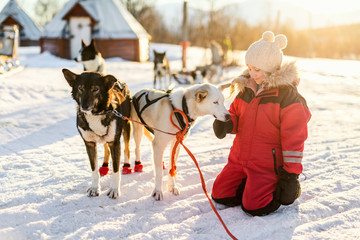 Little girl with husky dog © TravelPhotoBloggers
