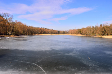 A frozen lake on a sunny day and the shore with trees.