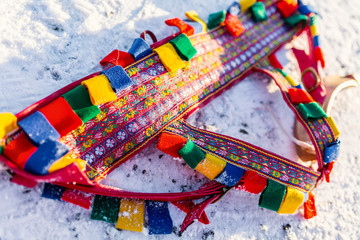 Close up of colorful reindeer rig © TravelPhotoBloggers