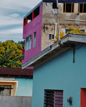 Buff Bay, 2017