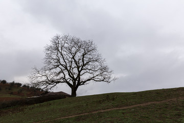 Filband, Mazandaran, Iran