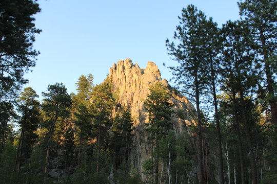 mountain & forest at 60mph