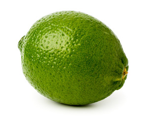Green lime tree on a white, close up.